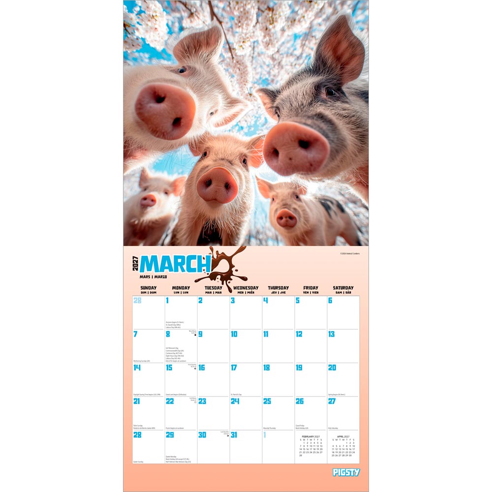 Pigsty | 2027 12 x 24 Inch (Hanging) Monthly Square Wall Calendar