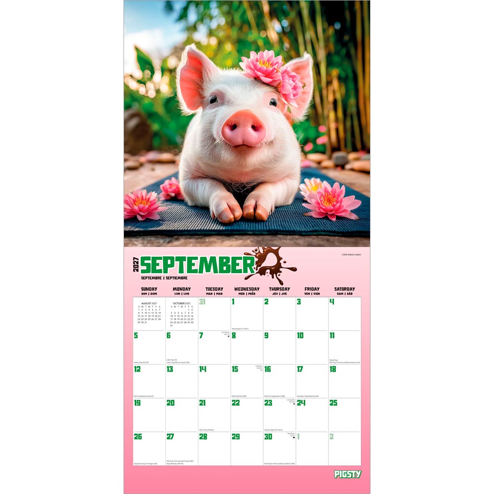 Pigsty | 2027 12 x 24 Inch (Hanging) Monthly Square Wall Calendar
