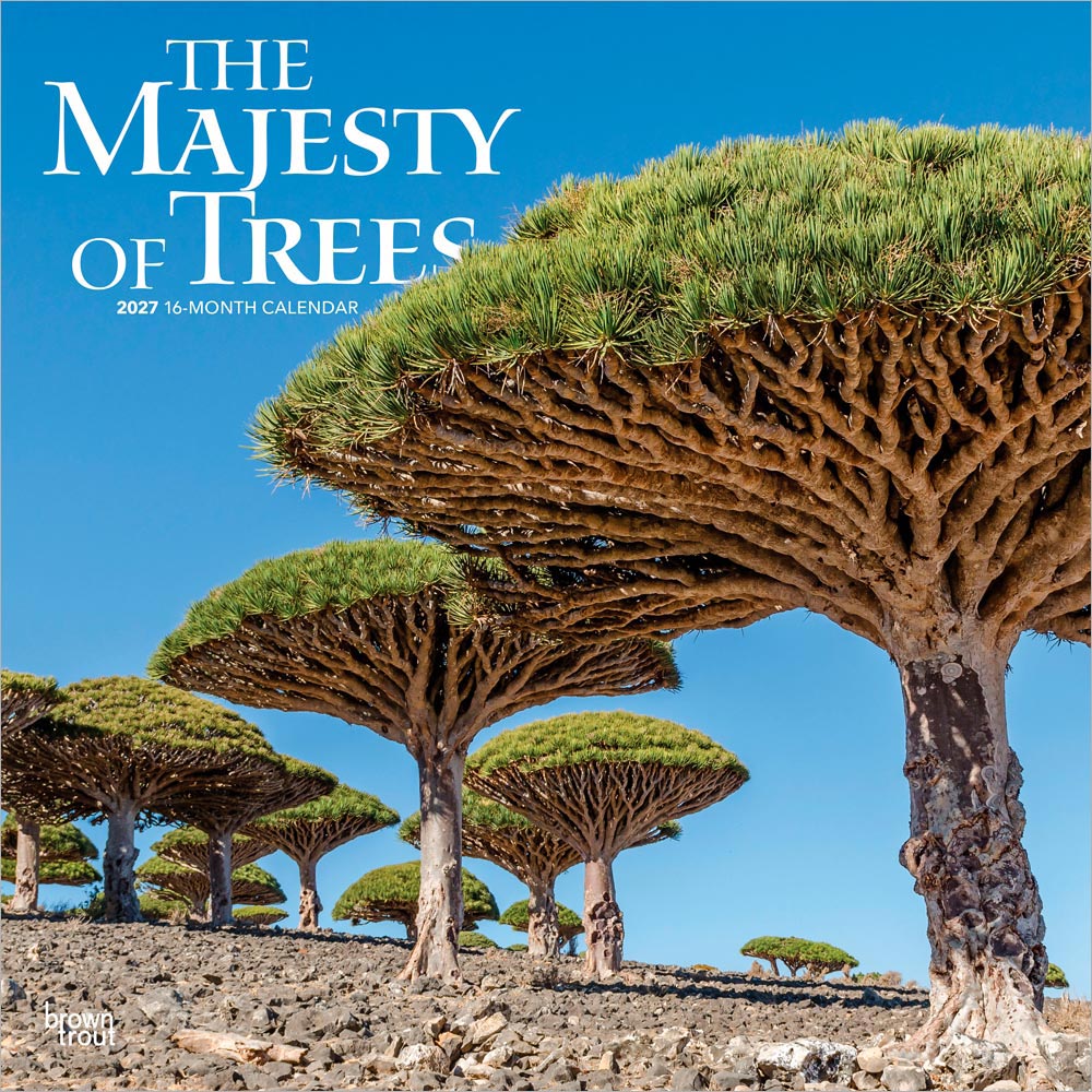 The Majesty of Trees | 2027 12 x 24 Inch (Hanging) Monthly Square Wall Calendar