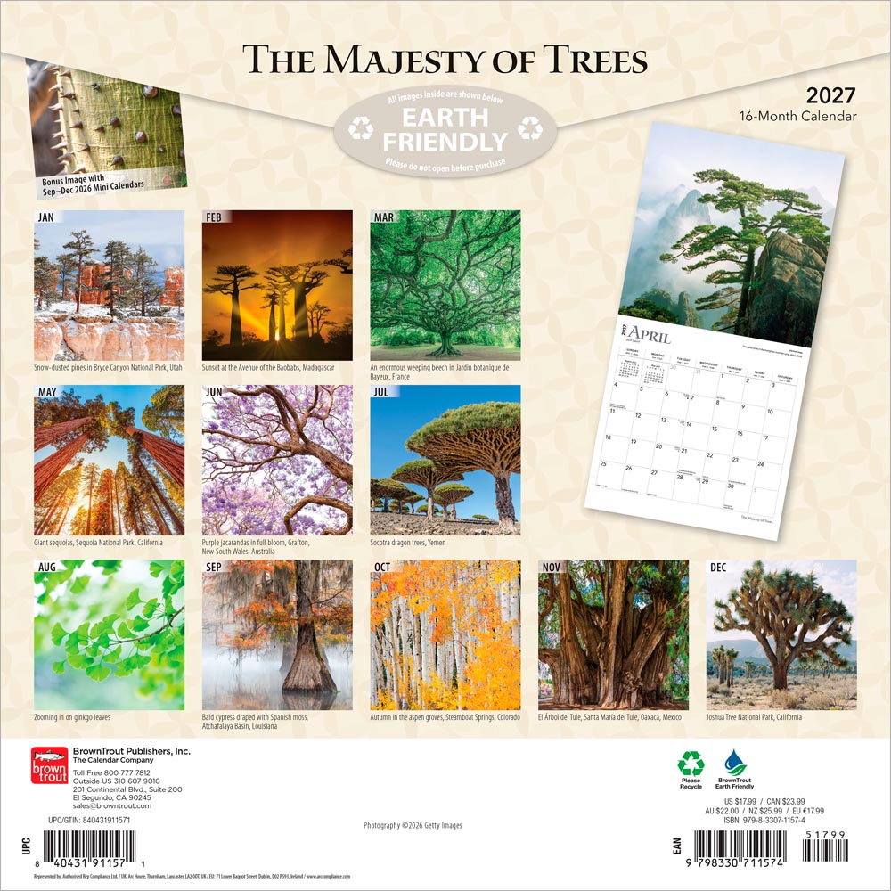 The Majesty of Trees | 2027 12 x 24 Inch (Hanging) Monthly Square Wall Calendar