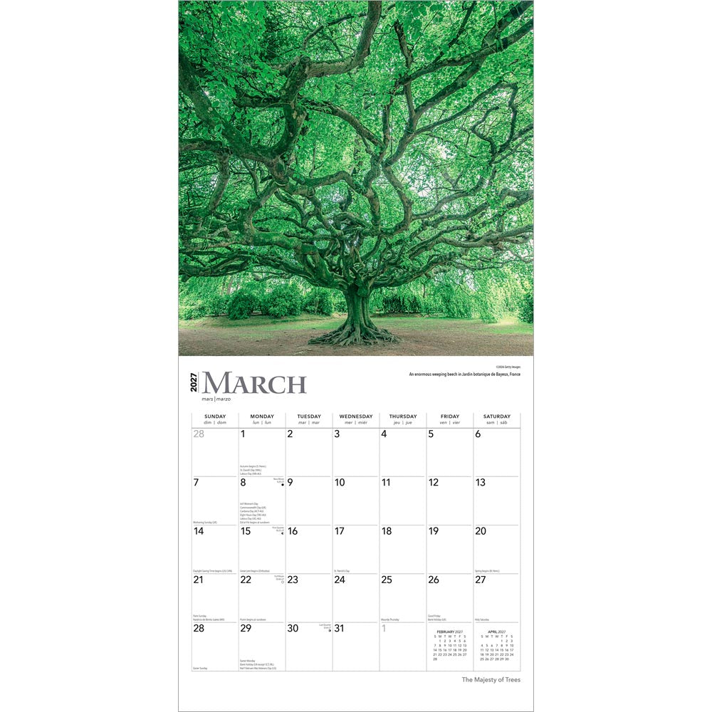 The Majesty of Trees | 2027 12 x 24 Inch (Hanging) Monthly Square Wall Calendar