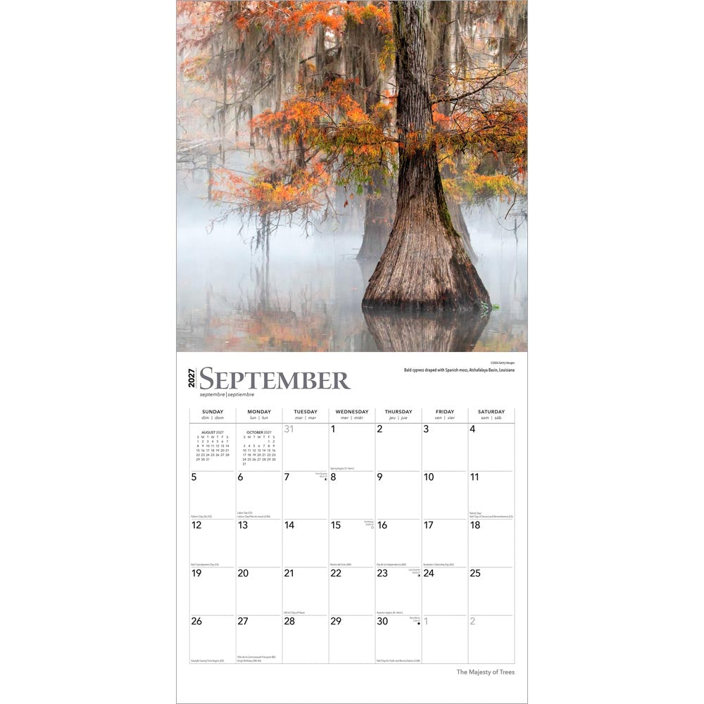 The Majesty of Trees | 2027 12 x 24 Inch (Hanging) Monthly Square Wall Calendar