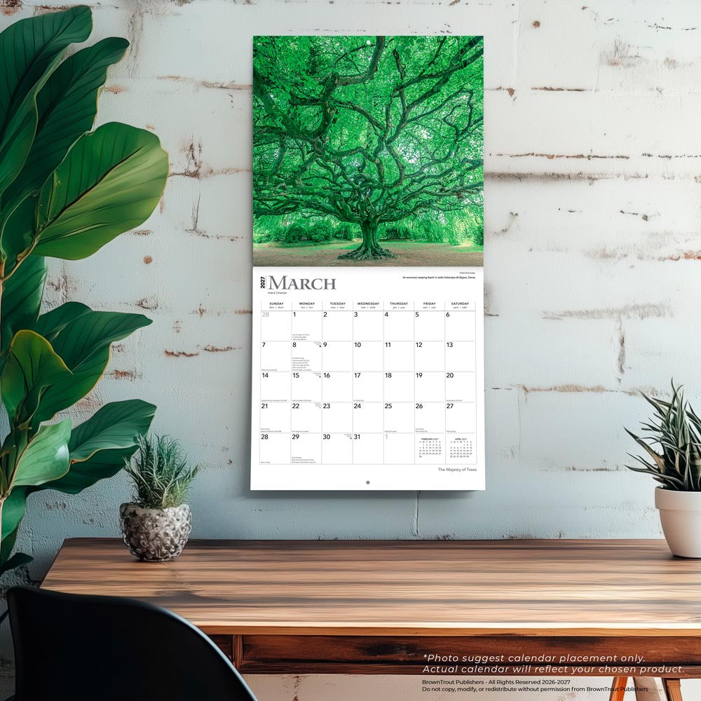 The Majesty of Trees | 2027 12 x 24 Inch (Hanging) Monthly Square Wall Calendar
