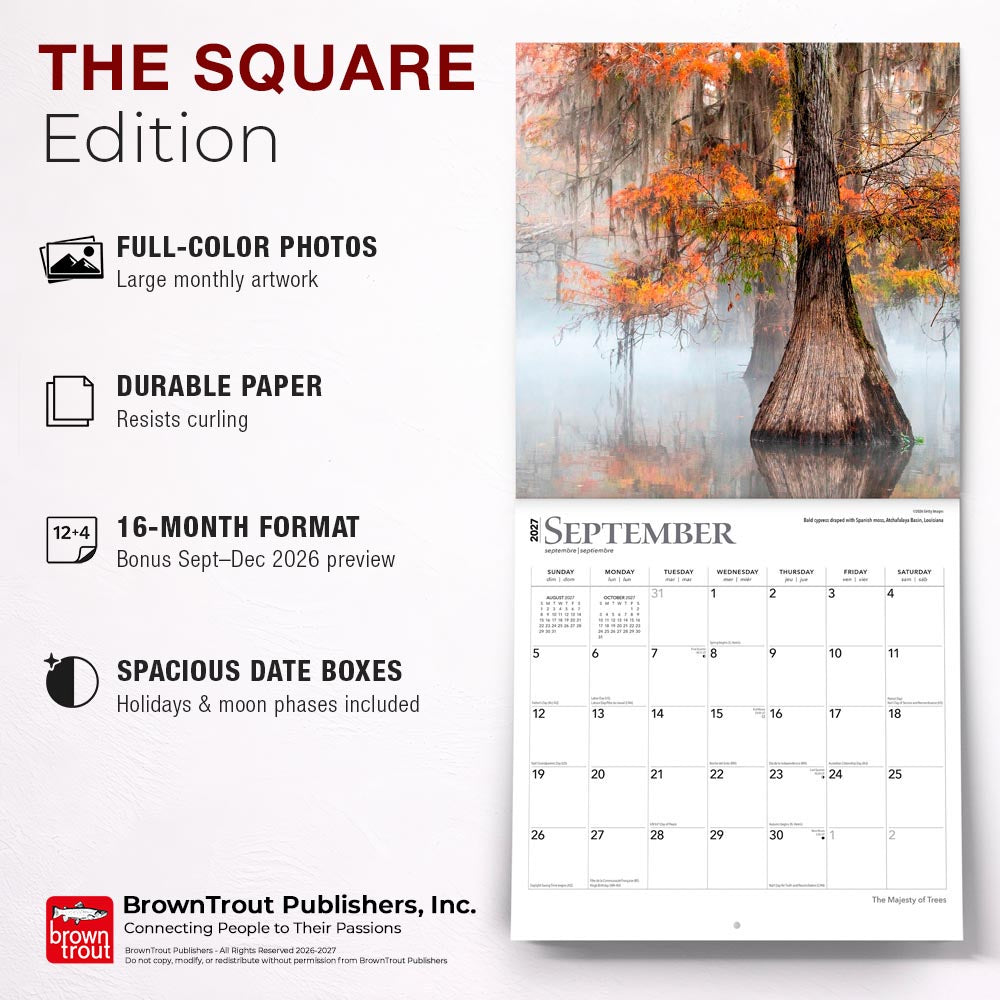 The Majesty of Trees | 2027 12 x 24 Inch (Hanging) Monthly Square Wall Calendar