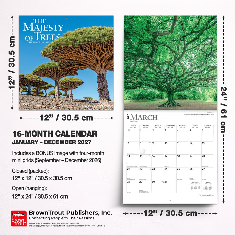 The Majesty of Trees | 2027 12 x 24 Inch (Hanging) Monthly Square Wall Calendar