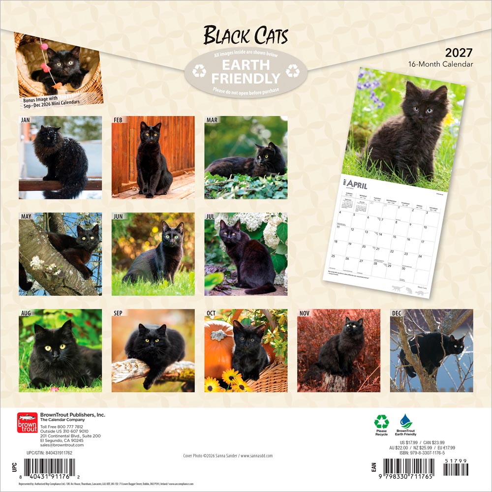 Black Cats | 2027 12 x 24 Inch (Hanging) Monthly Square Wall Calendar | Foil Stamped Cover