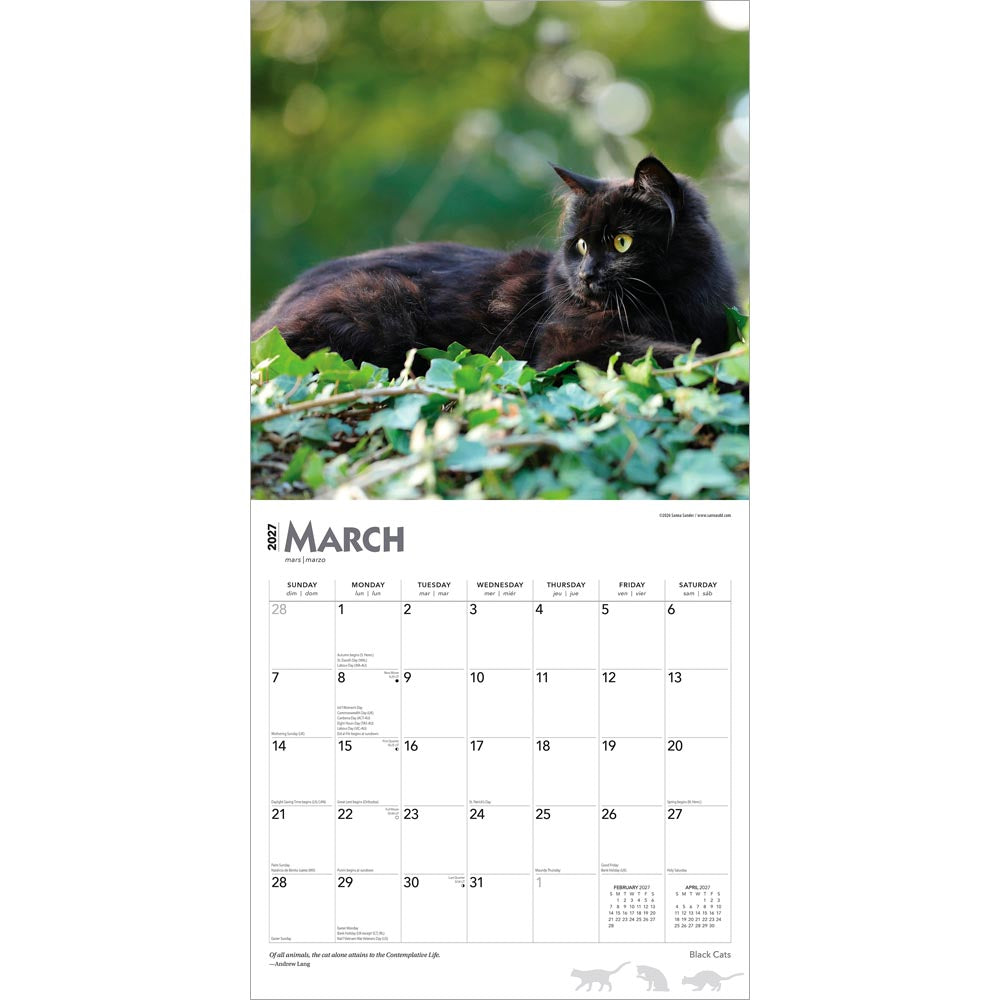 Black Cats | 2027 12 x 24 Inch (Hanging) Monthly Square Wall Calendar | Foil Stamped Cover
