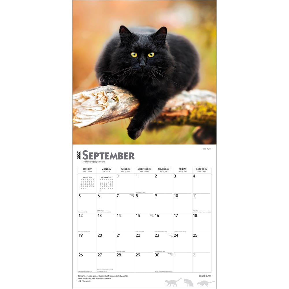 Black Cats | 2027 12 x 24 Inch (Hanging) Monthly Square Wall Calendar | Foil Stamped Cover