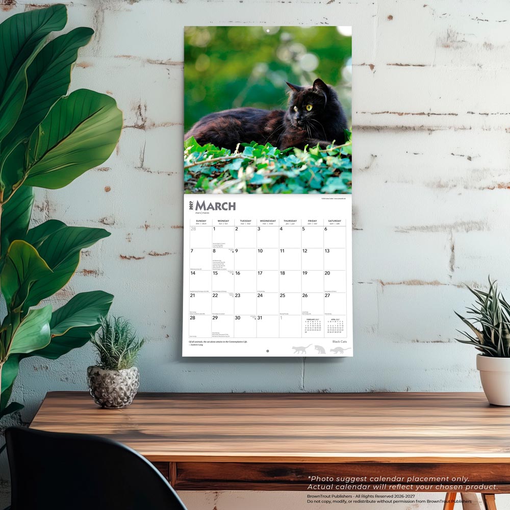 Black Cats | 2027 12 x 24 Inch (Hanging) Monthly Square Wall Calendar | Foil Stamped Cover
