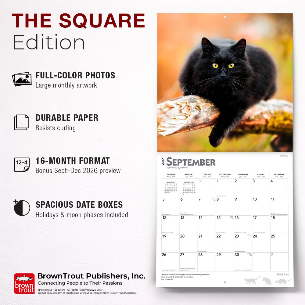 Black Cats | 2027 12 x 24 Inch (Hanging) Monthly Square Wall Calendar | Foil Stamped Cover