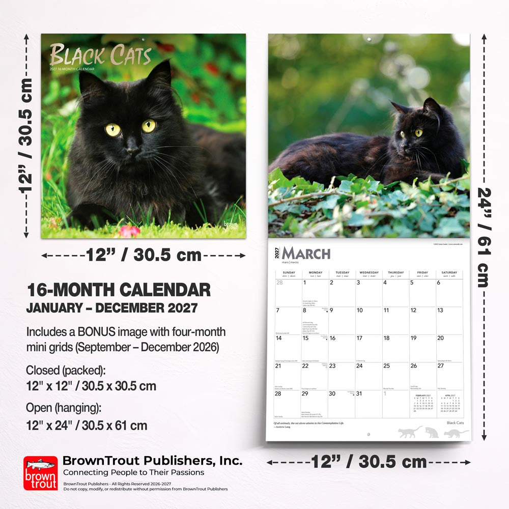 Black Cats | 2027 12 x 24 Inch (Hanging) Monthly Square Wall Calendar | Foil Stamped Cover