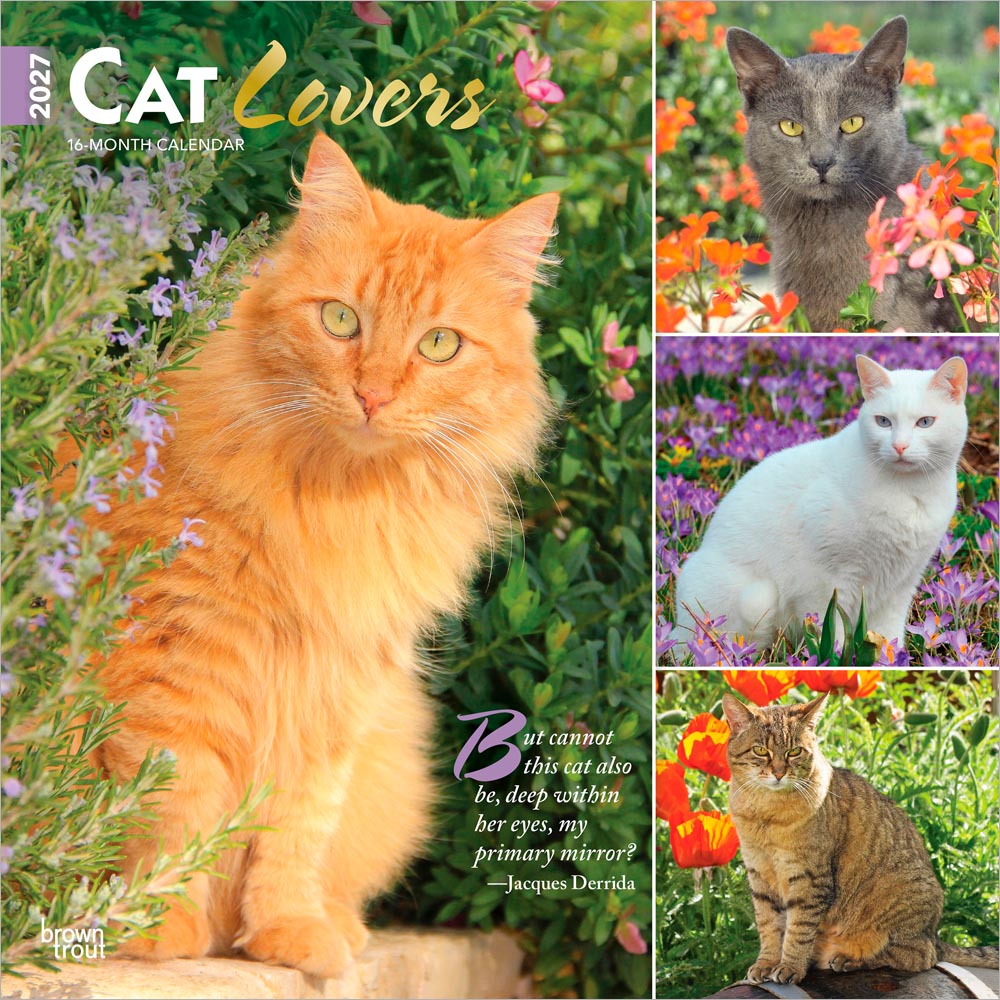 Cat Lovers | 2027 12 x 24 Inch (Hanging) Monthly Square Wall Calendar | Foil Stamped Cover