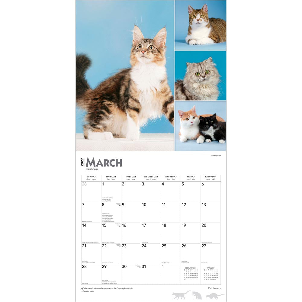 Cat Lovers | 2027 12 x 24 Inch (Hanging) Monthly Square Wall Calendar | Foil Stamped Cover