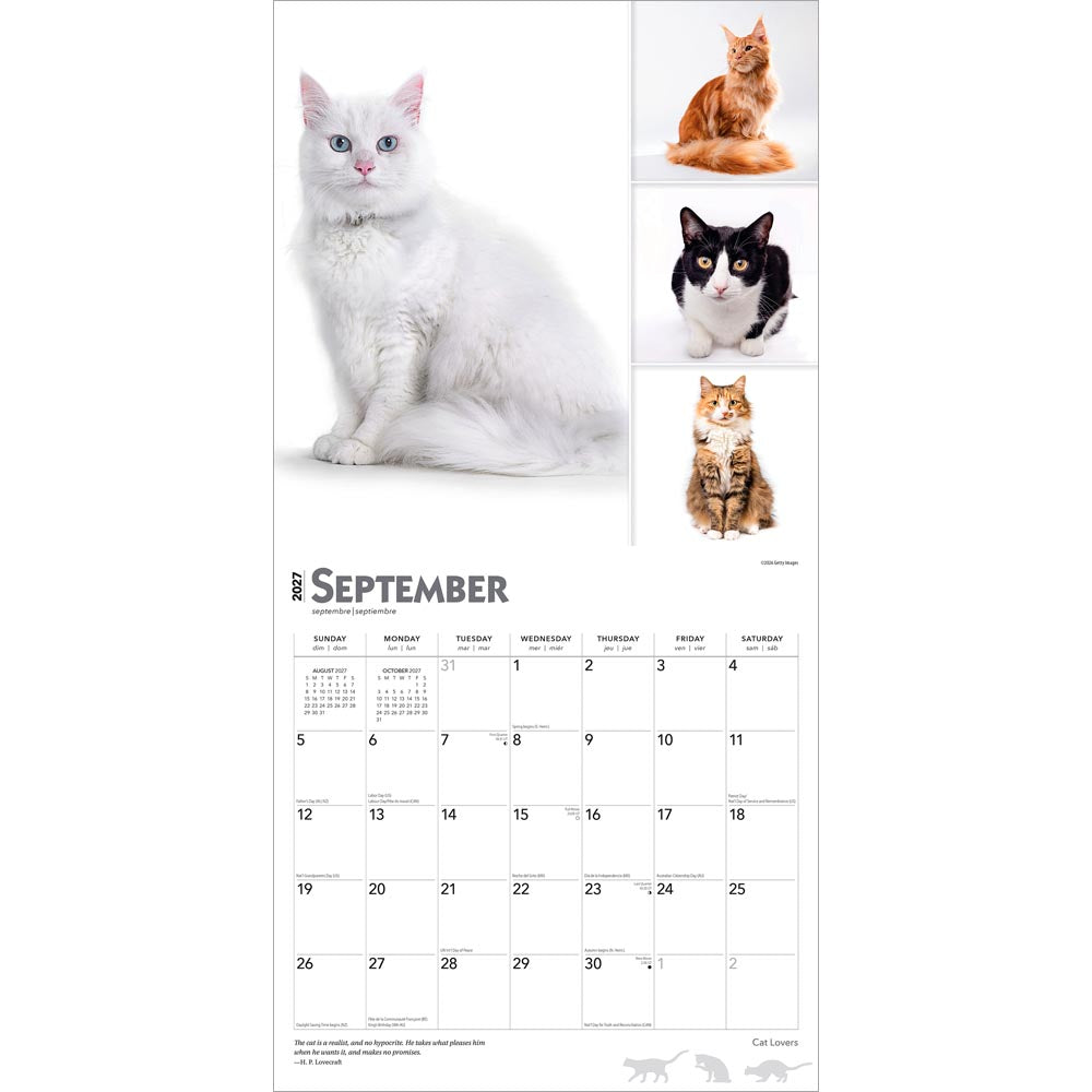 Cat Lovers | 2027 12 x 24 Inch (Hanging) Monthly Square Wall Calendar | Foil Stamped Cover