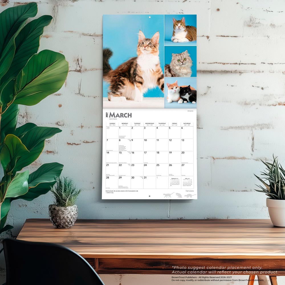 Cat Lovers | 2027 12 x 24 Inch (Hanging) Monthly Square Wall Calendar | Foil Stamped Cover