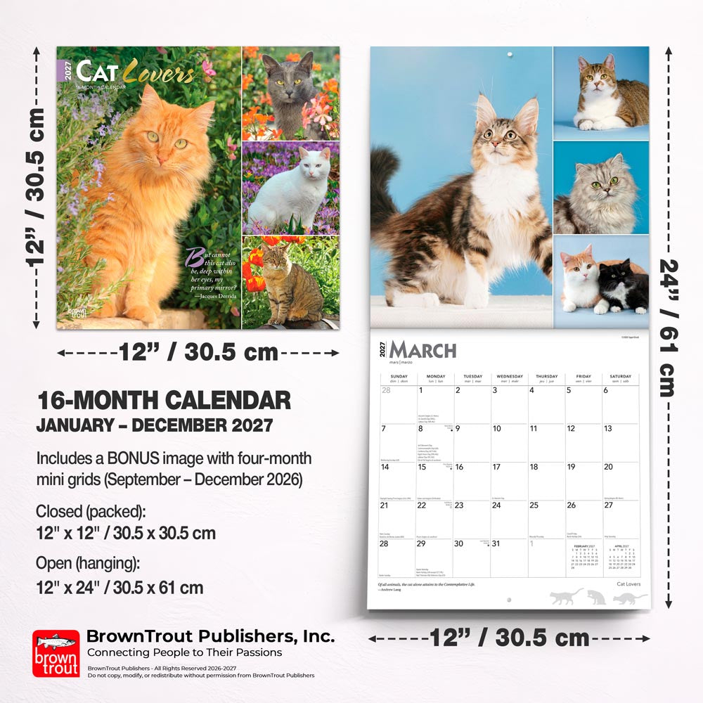 Cat Lovers | 2027 12 x 24 Inch (Hanging) Monthly Square Wall Calendar | Foil Stamped Cover