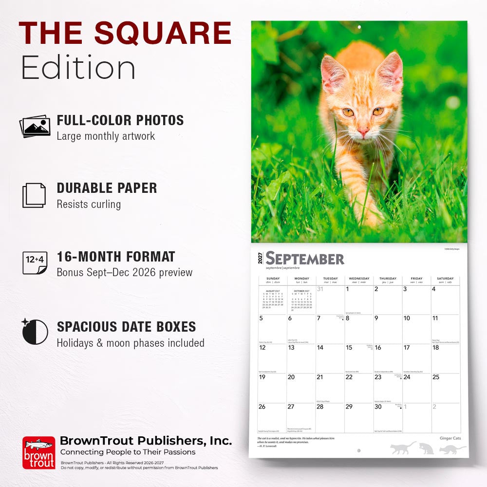 Ginger Cats | 2027 12 x 24 Inch (Hanging) Monthly Square Wall Calendar