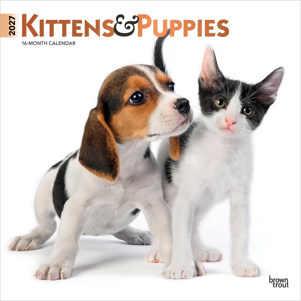 Kittens & Puppies | 2027 12 x 24 Inch (Hanging) Monthly Square Wall Calendar | Foil Stamped Cover