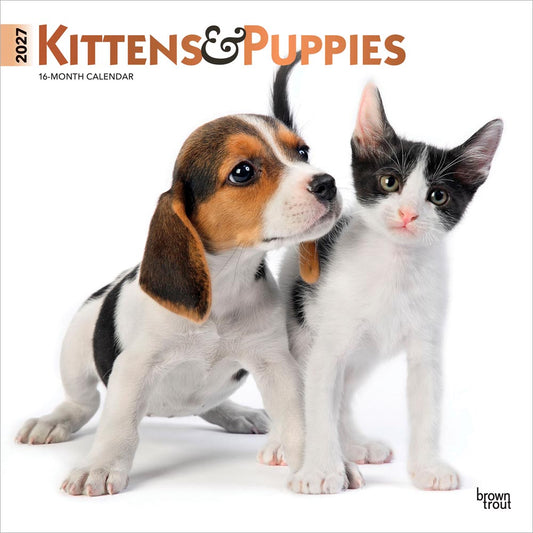 Kittens & Puppies | 2027 12 x 24 Inch (Hanging) Monthly Square Wall Calendar | Foil Stamped Cover