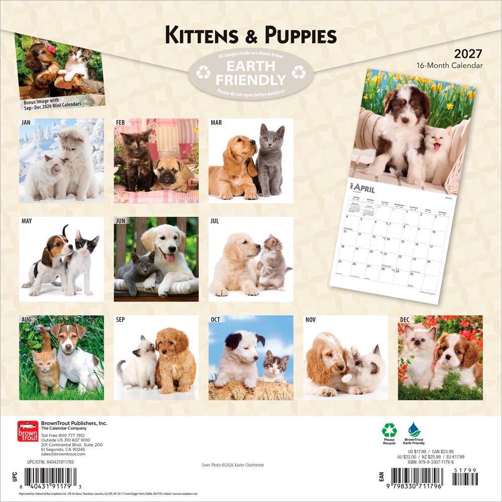 Kittens & Puppies | 2027 12 x 24 Inch (Hanging) Monthly Square Wall Calendar | Foil Stamped Cover