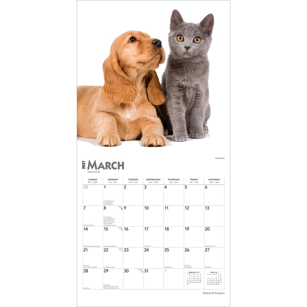 Kittens & Puppies | 2027 12 x 24 Inch (Hanging) Monthly Square Wall Calendar | Foil Stamped Cover