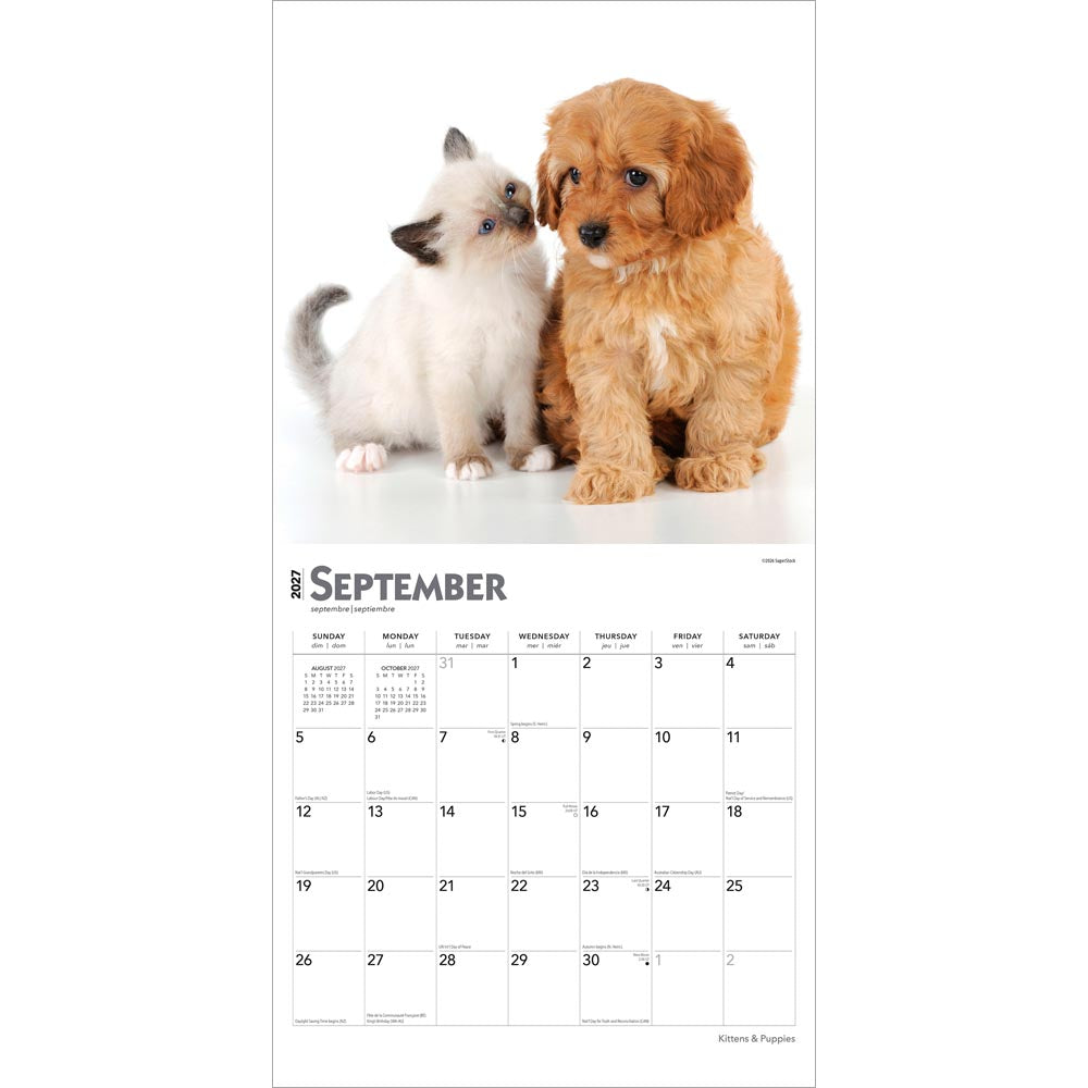 Kittens & Puppies | 2027 12 x 24 Inch (Hanging) Monthly Square Wall Calendar | Foil Stamped Cover