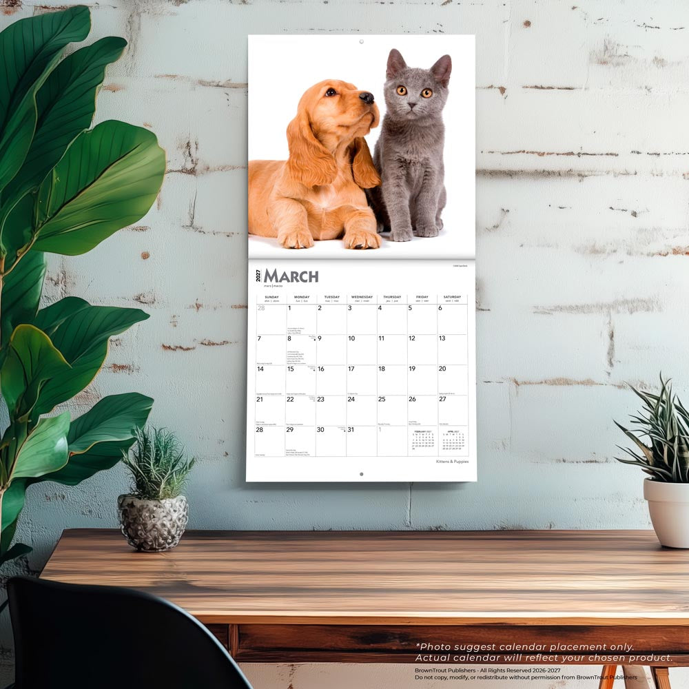 Kittens & Puppies | 2027 12 x 24 Inch (Hanging) Monthly Square Wall Calendar | Foil Stamped Cover