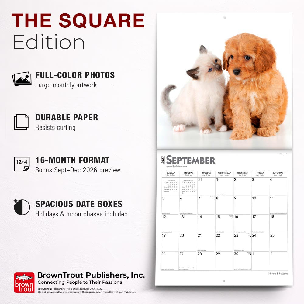 Kittens & Puppies | 2027 12 x 24 Inch (Hanging) Monthly Square Wall Calendar | Foil Stamped Cover