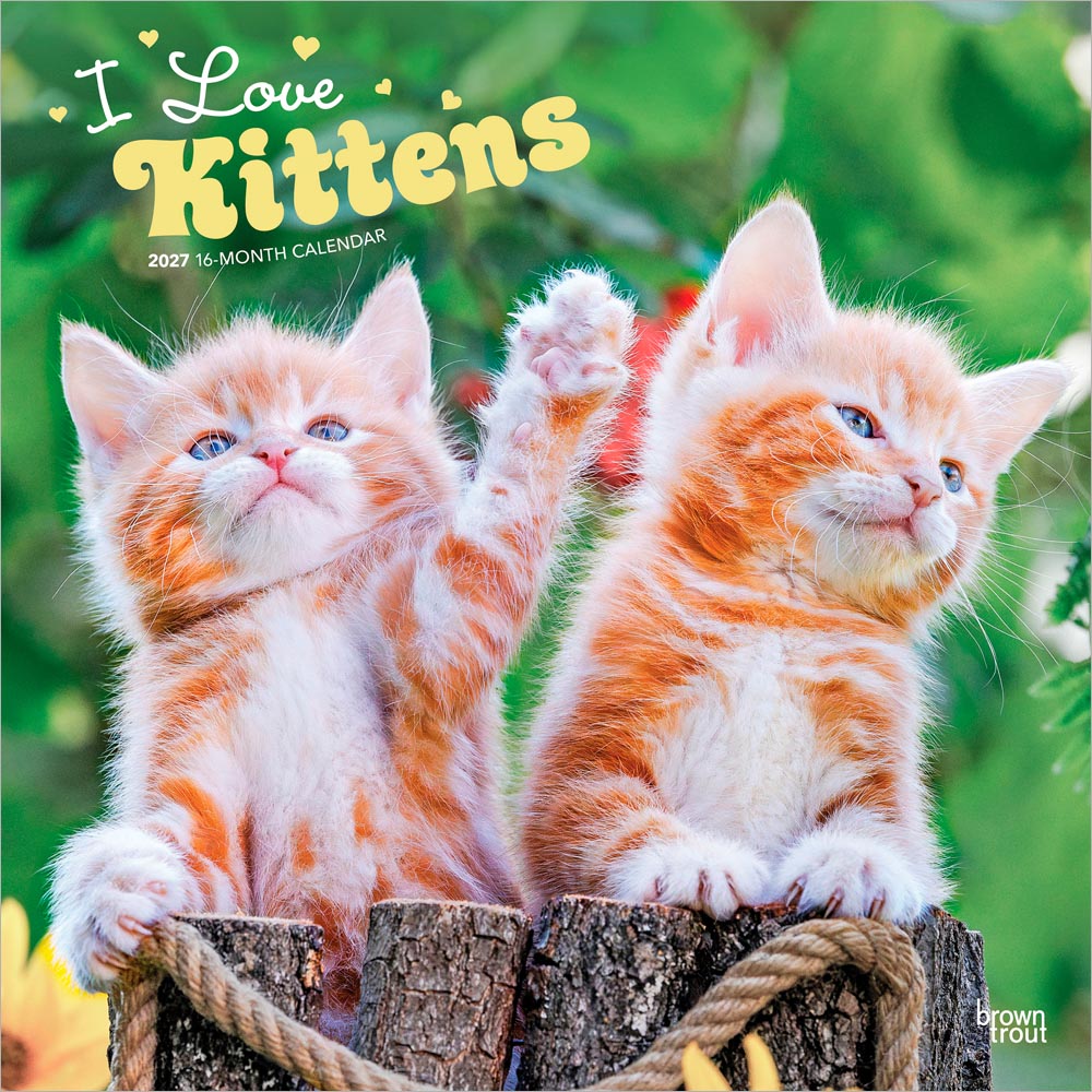 I Love Kittens | 2027 12 x 24 Inch (Hanging) Monthly Square Wall Calendar