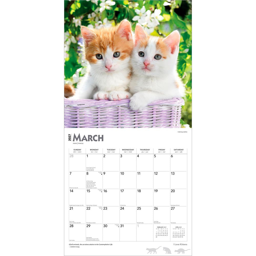 I Love Kittens | 2027 12 x 24 Inch (Hanging) Monthly Square Wall Calendar