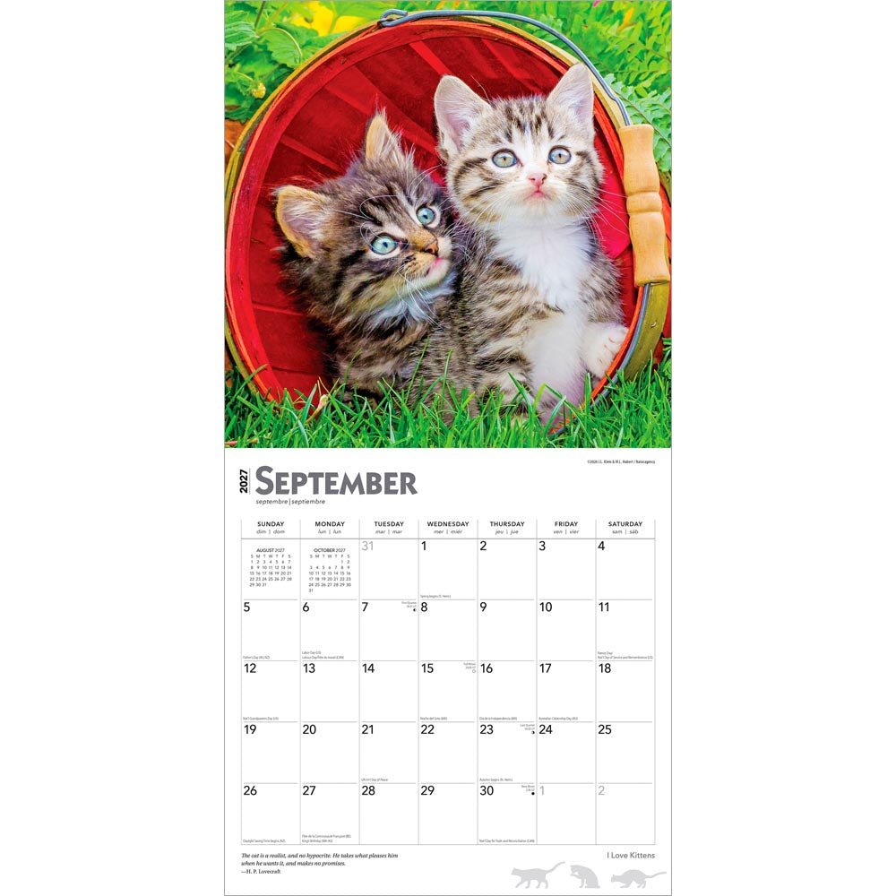I Love Kittens | 2027 12 x 24 Inch (Hanging) Monthly Square Wall Calendar