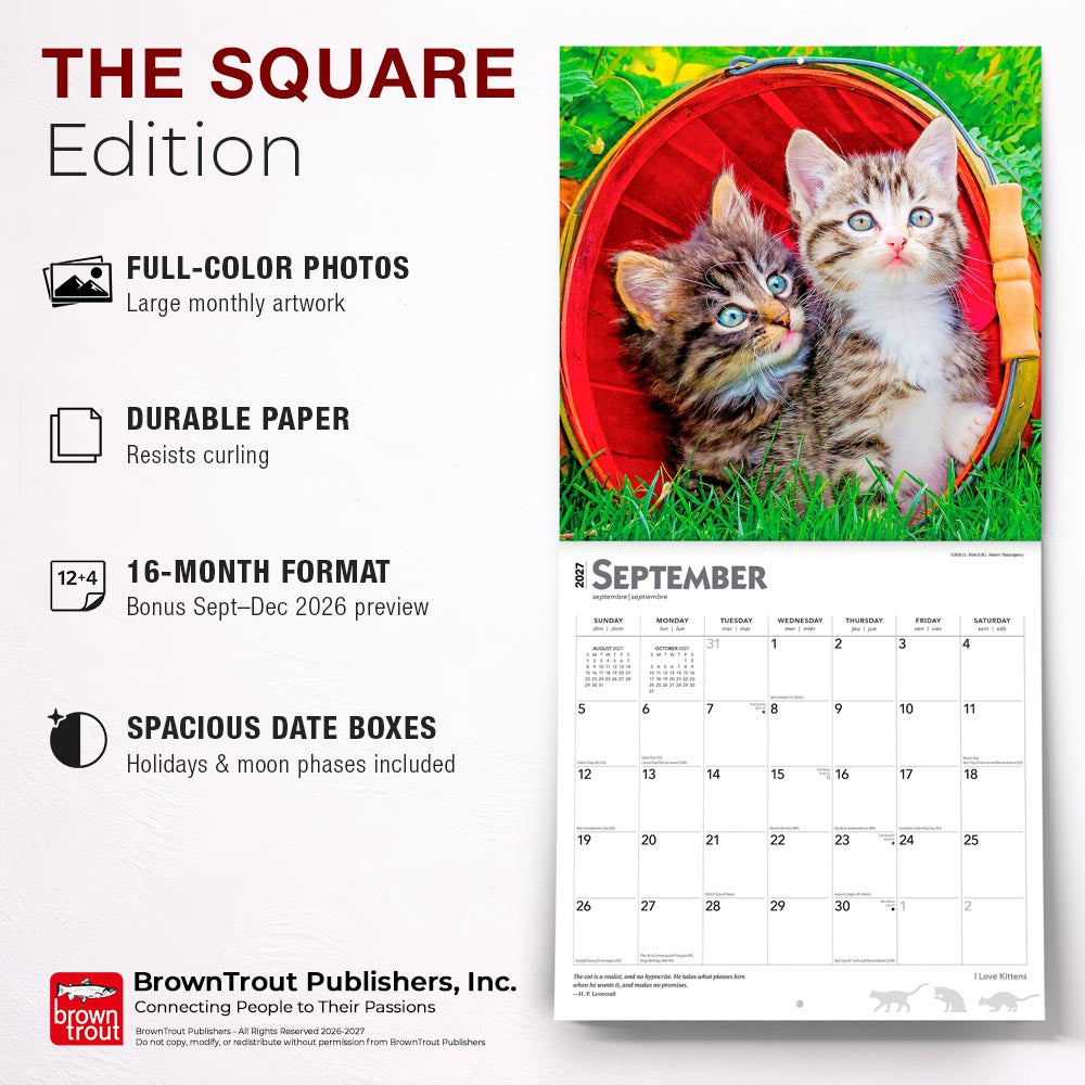 I Love Kittens | 2027 12 x 24 Inch (Hanging) Monthly Square Wall Calendar