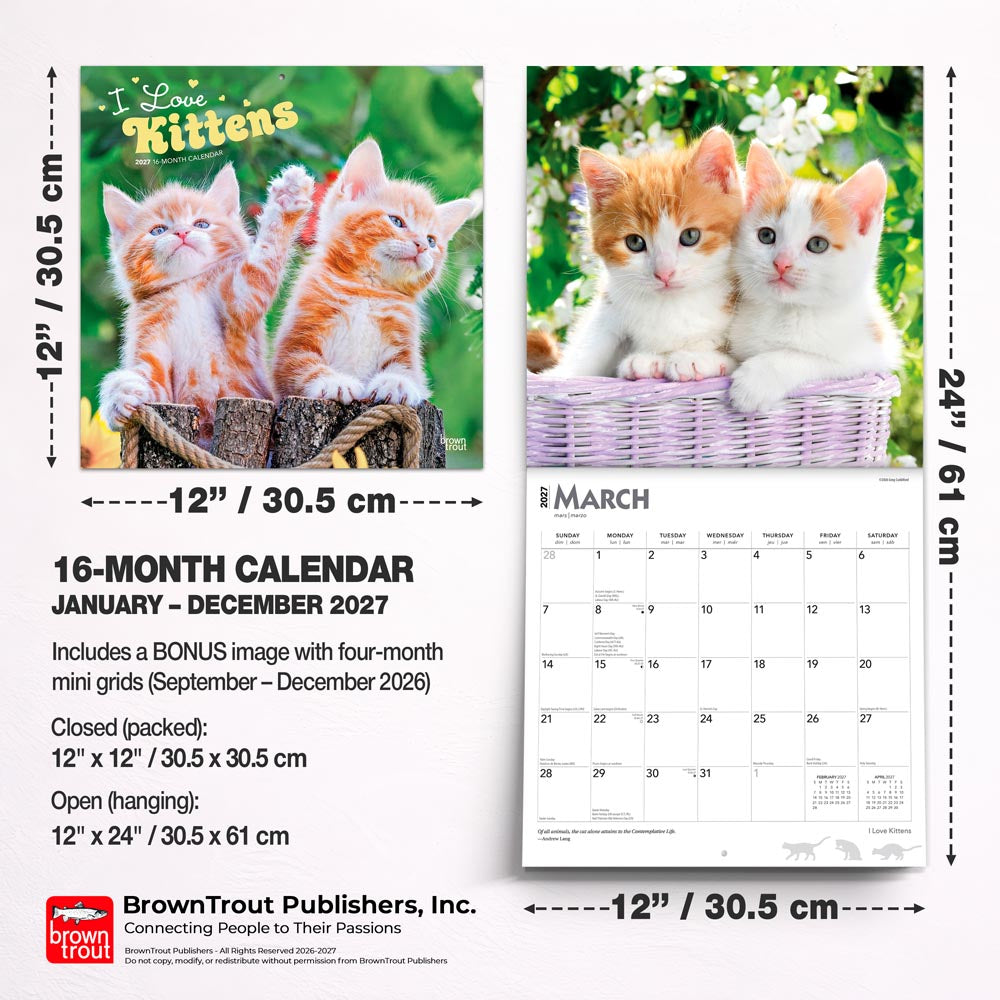 I Love Kittens | 2027 12 x 24 Inch (Hanging) Monthly Square Wall Calendar