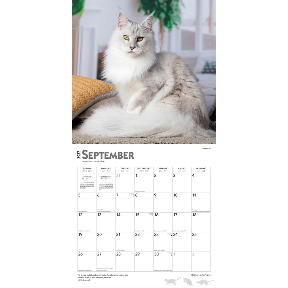 Maine Coon Cats | 2027 12 x 24 Inch (Hanging) Monthly Square Wall Calendar
