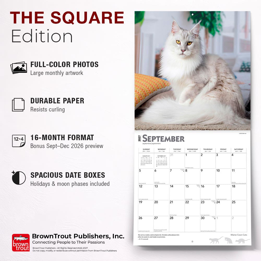 Maine Coon Cats | 2027 12 x 24 Inch (Hanging) Monthly Square Wall Calendar