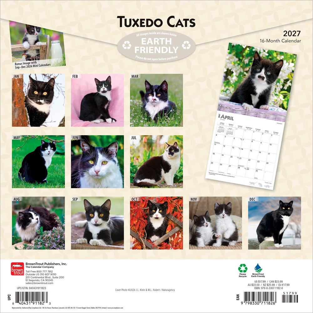 Tuxedo Cats | 2027 12 x 24 Inch (Hanging) Monthly Square Wall Calendar