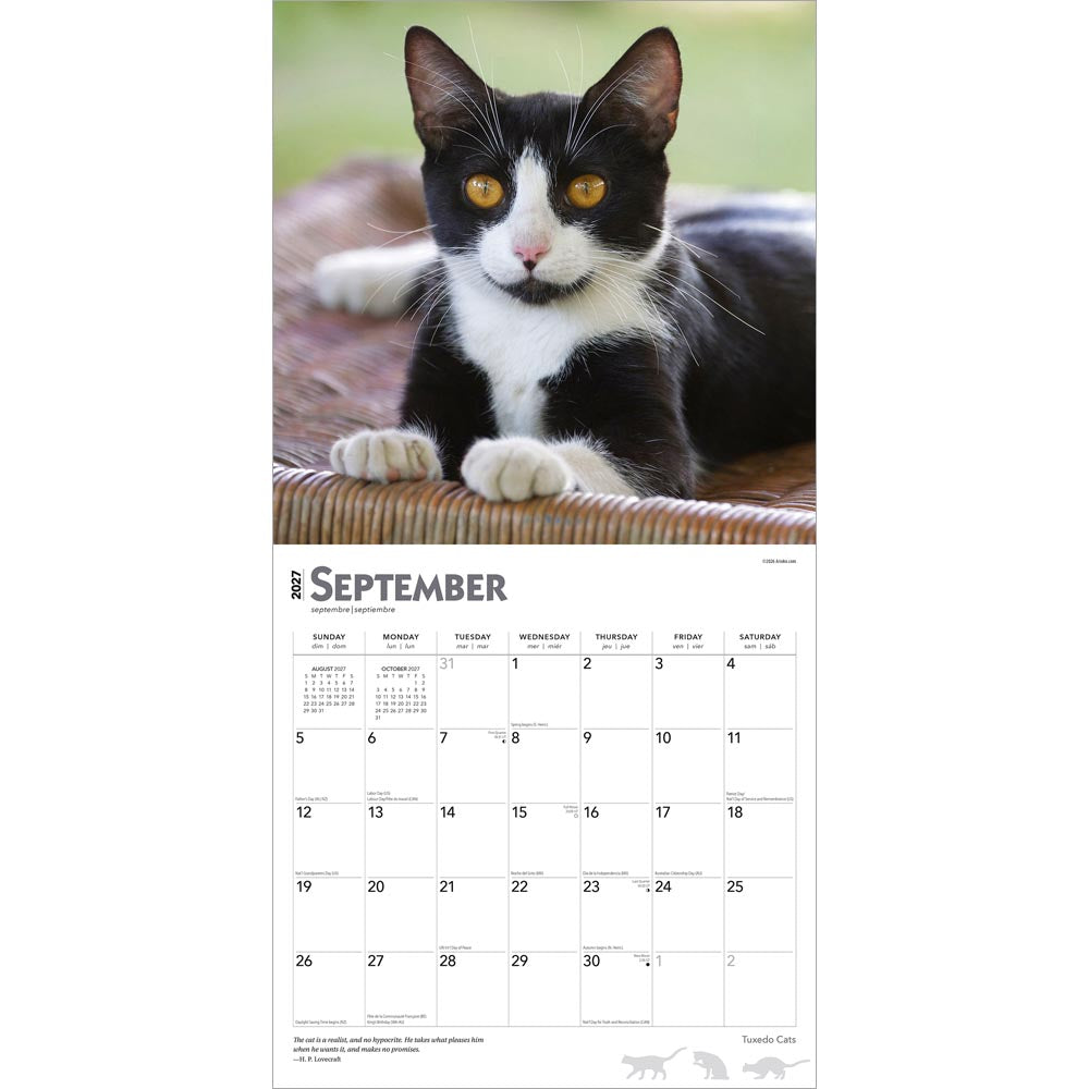 Tuxedo Cats | 2027 12 x 24 Inch (Hanging) Monthly Square Wall Calendar