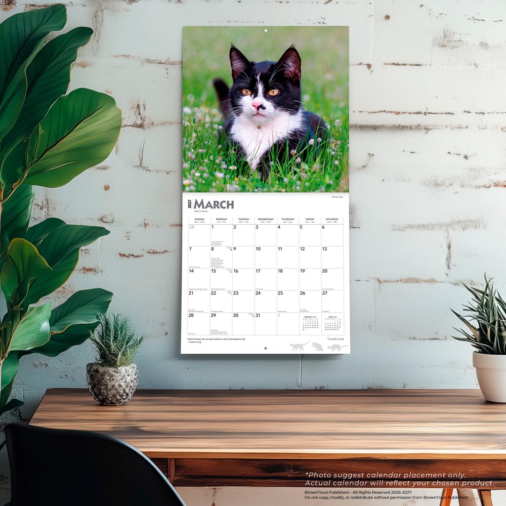 Tuxedo Cats | 2027 12 x 24 Inch (Hanging) Monthly Square Wall Calendar