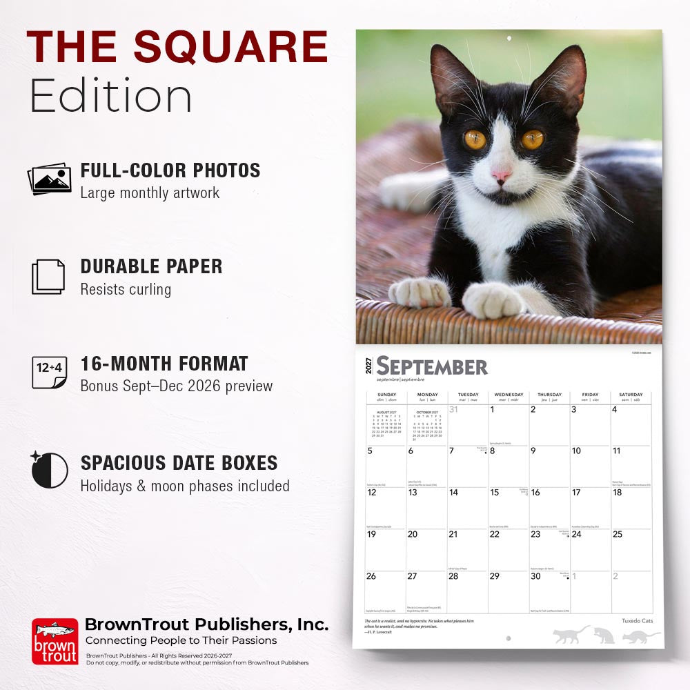 Tuxedo Cats | 2027 12 x 24 Inch (Hanging) Monthly Square Wall Calendar