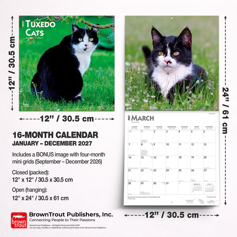 Tuxedo Cats | 2027 12 x 24 Inch (Hanging) Monthly Square Wall Calendar