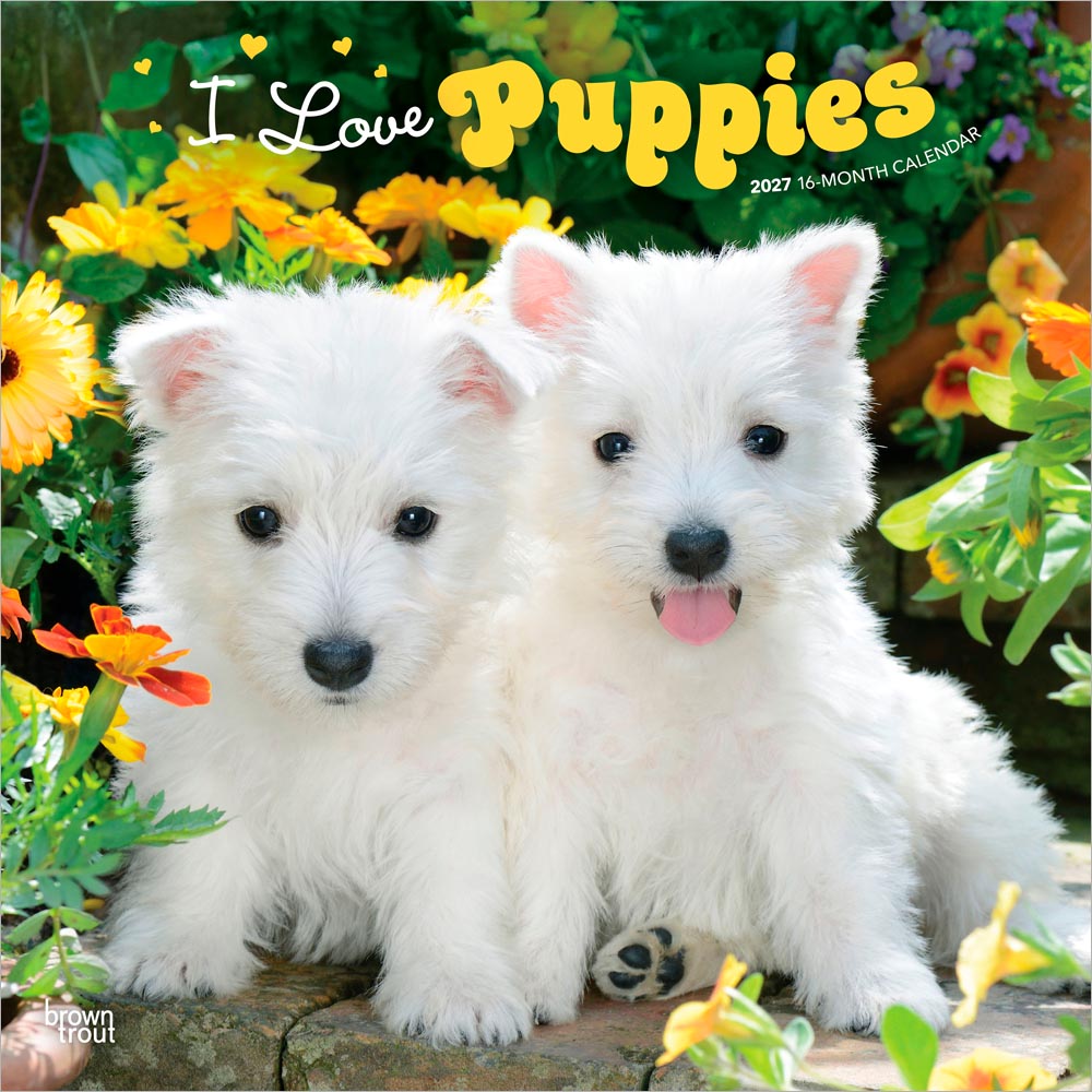 I Love Puppies | 2027 12 x 24 Inch (Hanging) Monthly Square Wall Calendar
