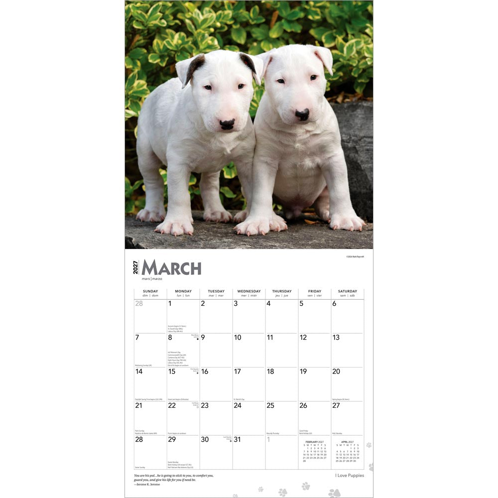 I Love Puppies | 2027 12 x 24 Inch (Hanging) Monthly Square Wall Calendar