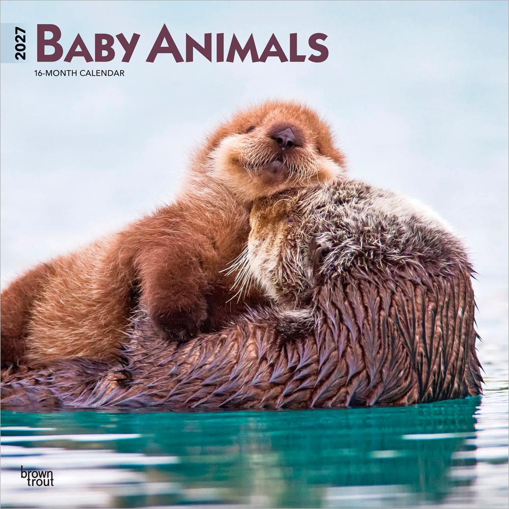 Baby Animals | 2027 12 x 24 Inch (Hanging) Monthly Square Wall Calendar