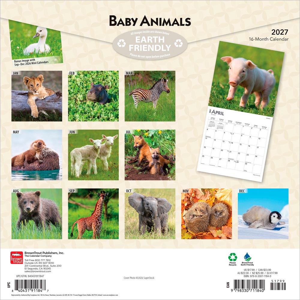 Baby Animals | 2027 12 x 24 Inch (Hanging) Monthly Square Wall Calendar