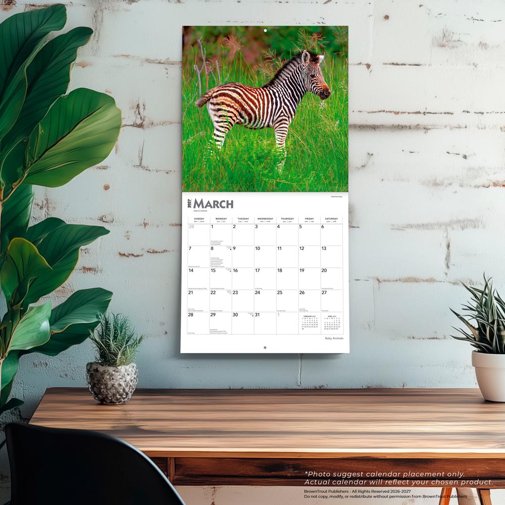 Baby Animals | 2027 12 x 24 Inch (Hanging) Monthly Square Wall Calendar