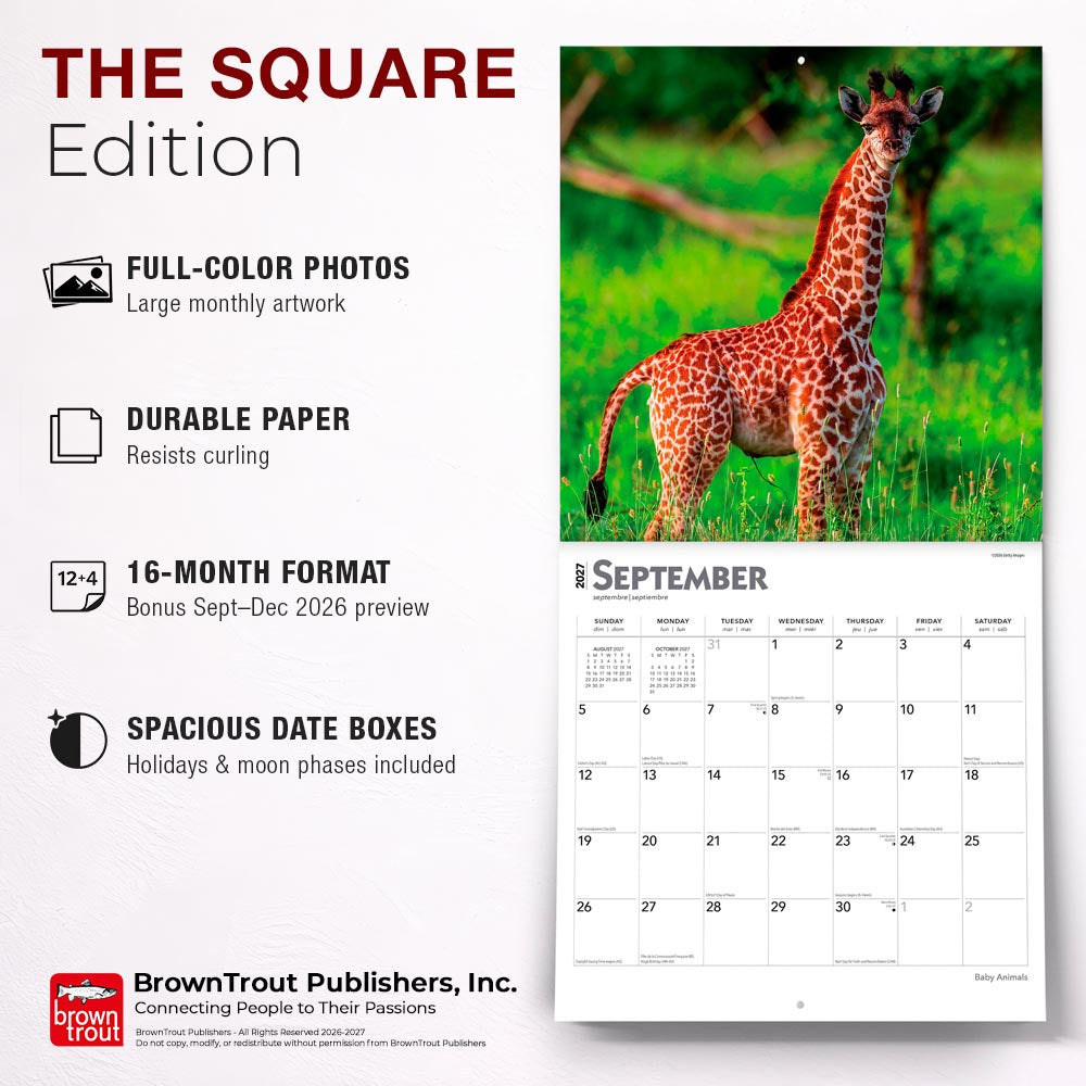 Baby Animals | 2027 12 x 24 Inch (Hanging) Monthly Square Wall Calendar