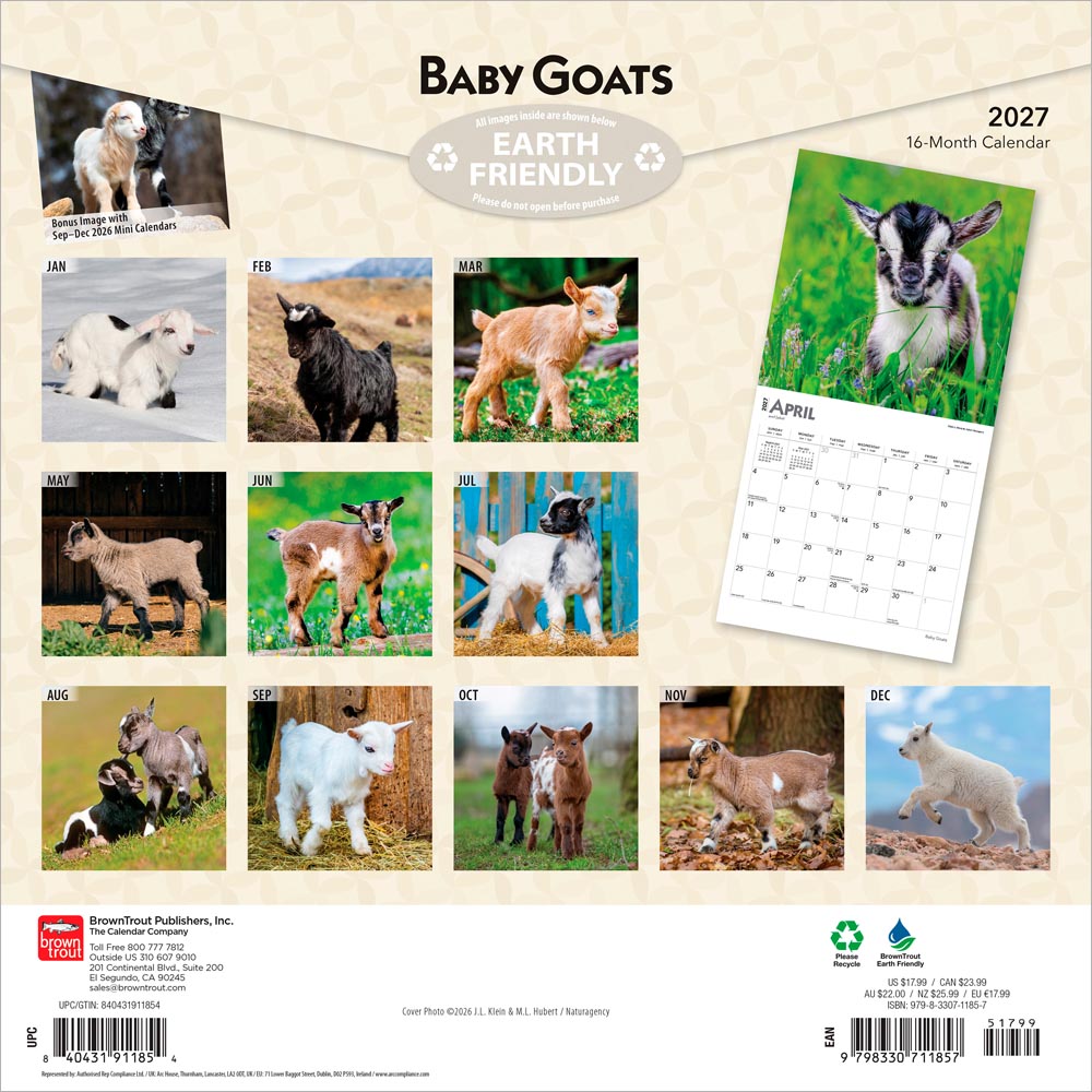 Baby Goats | 2027 12 x 24 Inch (Hanging) Monthly Square Wall Calendar