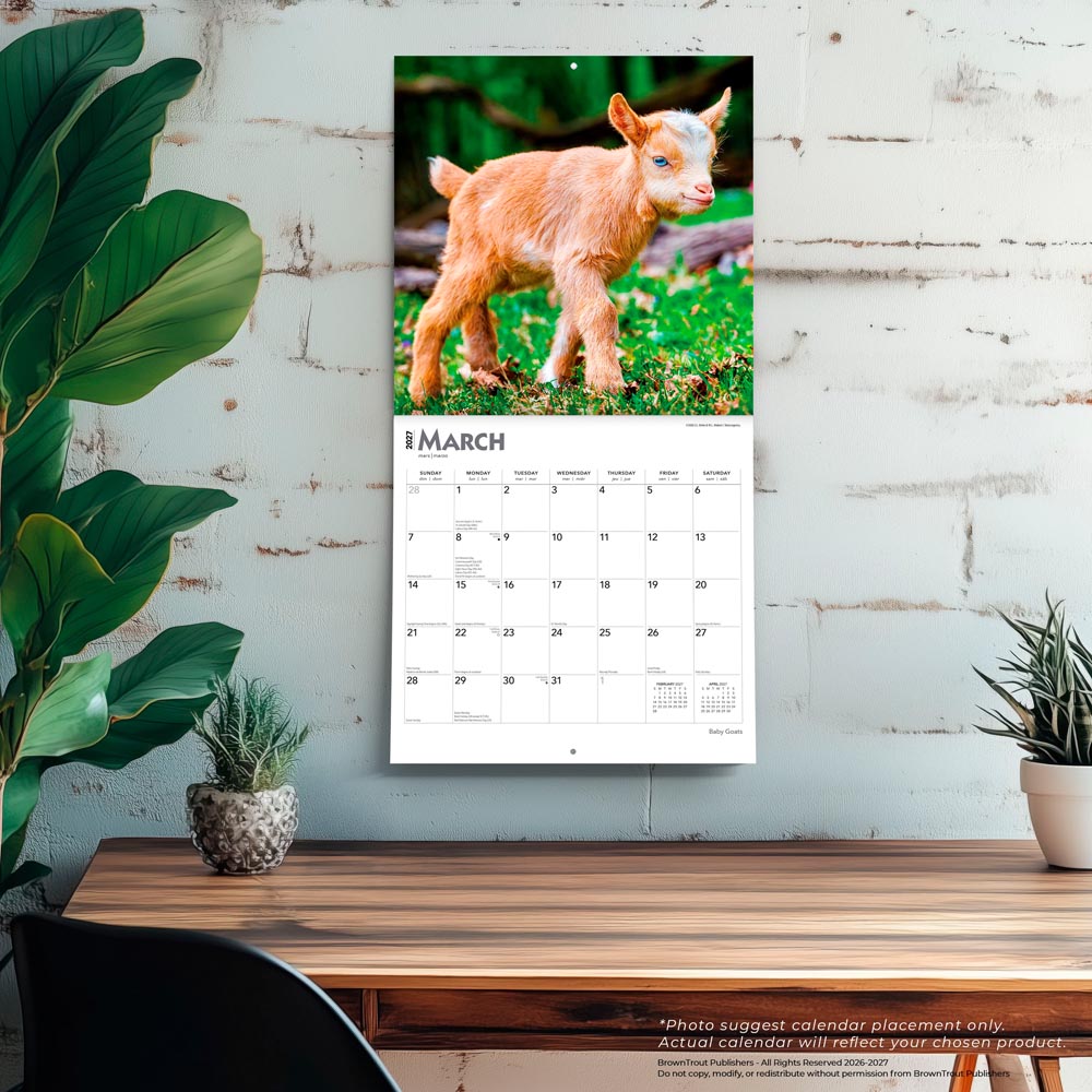 Baby Goats | 2027 12 x 24 Inch (Hanging) Monthly Square Wall Calendar