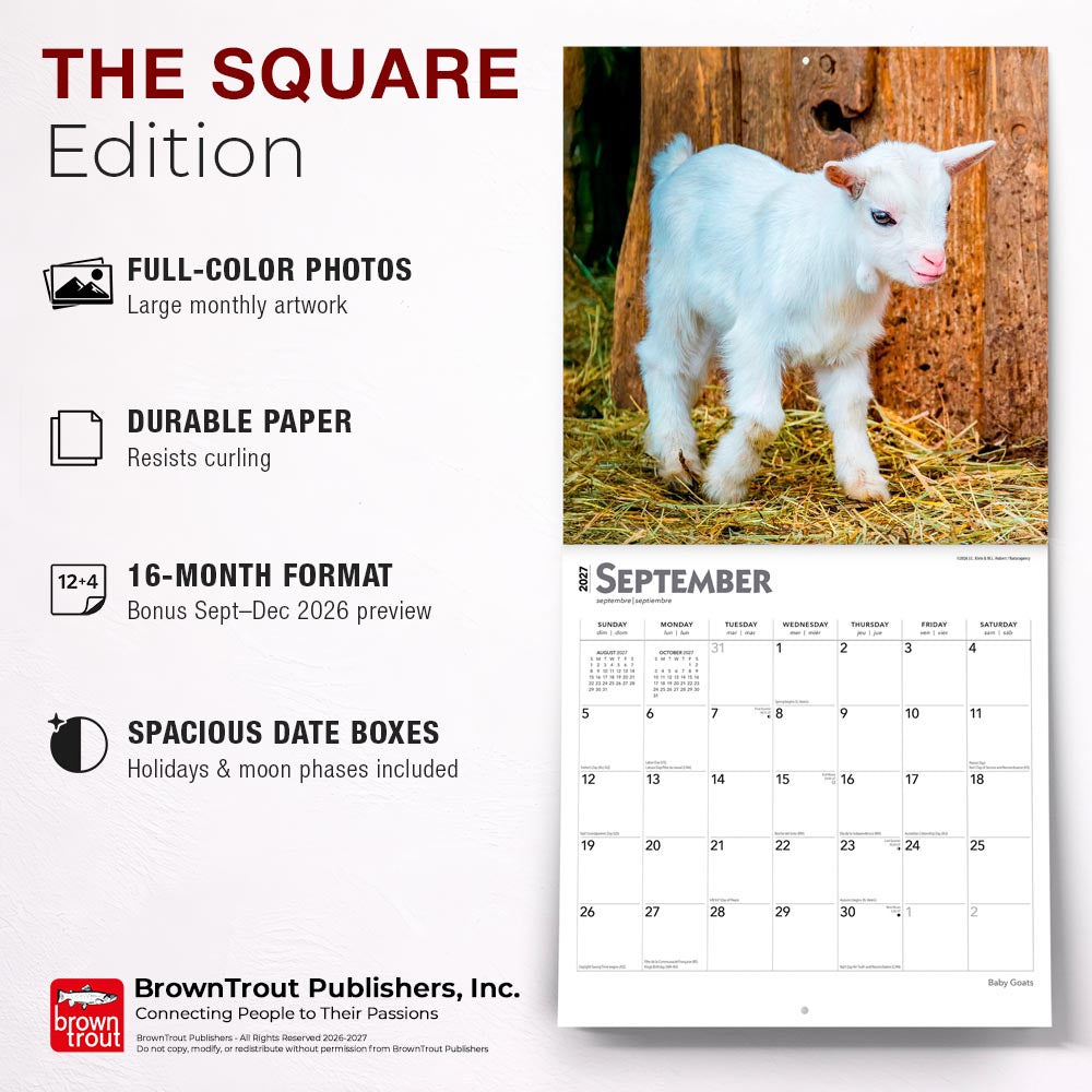 Baby Goats | 2027 12 x 24 Inch (Hanging) Monthly Square Wall Calendar