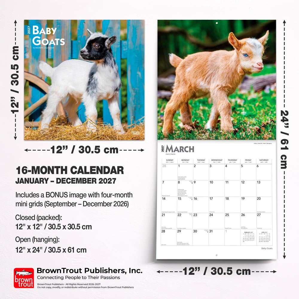 Baby Goats | 2027 12 x 24 Inch (Hanging) Monthly Square Wall Calendar